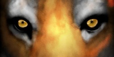 Do not judge people if you have never felt their pain Do not judge people if you have never felt their pain