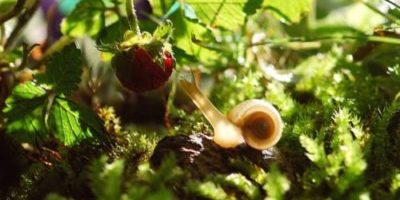 The price people pay for freedom and living out of their comfort zone The price people pay for freedom and living out of their comfort zone