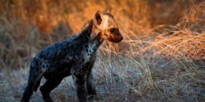 The power of vulnerability The power of vulnerability