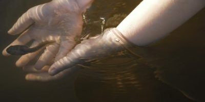 You’re not a forgiveness machine when it comes to some. How to forgive or leave those who keep operating in their own negative patterns You’re not a forgiveness machine when it comes to some. How to forgive or leave those who keep operating in their own negative patterns