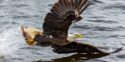 You are enough You are enough