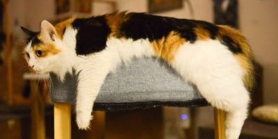 Giving up is not an option Giving up is not an option