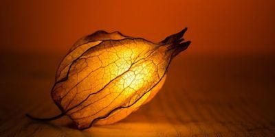 Poetry, Inspiration and Irony Poetry, Inspiration and Irony