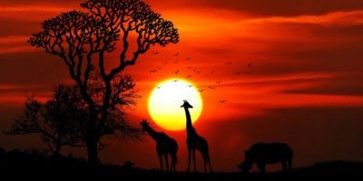 Poetry, Inspiration and Irony Poetry, Inspiration and Irony