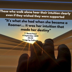 It's what she had when she became a roamer... it was her intuition that made her destiny