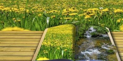 Poetry Inspiration and Irony Poetry, Inspiration and Irony