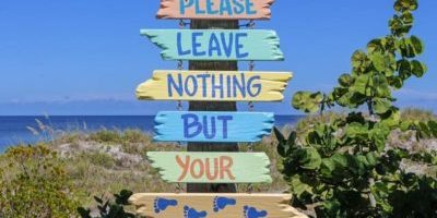 Poetry, Inspiration and Irony Poetry, Inspiration and Irony