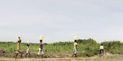 Articles like these will never make it in time to change some people’s lives, for example a five-year old being looked after by a paranoid schizophrenic Articles like these will never make it in time to change some people’s lives, for example a five-year old being looked after by a paranoid schizophrenic