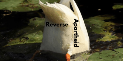 How are we supposed to call South Africans who have left South Africa back if affirmative action still exists? An eye for an eye is making everyone blind. If we don’t have equal opportunities, how can we have any inventors? How are we supposed to call South Africans who have left South Africa back if affirmative action still exists? An eye for an eye is making everyone blind. If we don’t have equal opportunities, how can we have any inventors?