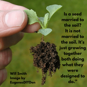 Is a seed married to the soil_ It is not married to the soil. It’s just growing together both doing what they were designed to do.”