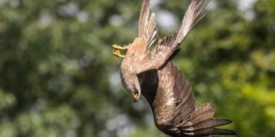 Stick to your guns, if you don’t feel like you want to do it, don’t. Turn it down Stick to your guns, if you don’t feel like you want to do it, don’t. Turn it down