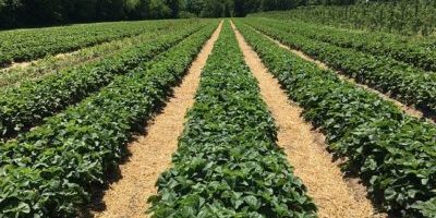 You have to be willing You have to be willing