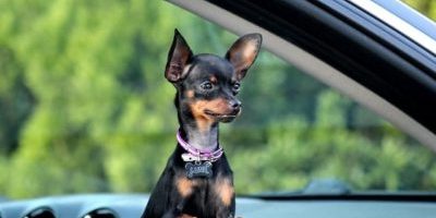 Don’t use the word bitch on any person even if you’re a woman, and don’t call yourself that Don't use the word bitch on any person even if you're a woman, and don't call yourself that