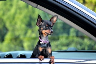 Don't use the word bitch on any person even if you're a woman, and don't call yourself that