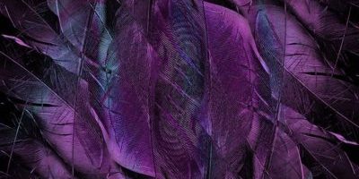 Poetry Inspiration and Irony Poetry, Inspiration and Irony