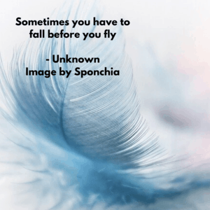 Sometimes you have to fall before you fly - Unknown
