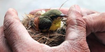 Don’t make it about yourself Don’t make it about yourself