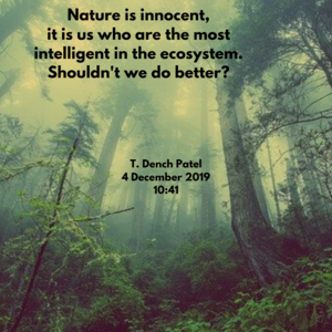 Nature is innocent, it is us who are the most intelligent in the ecosystem. Shouldn't we do better_