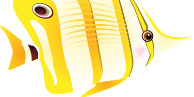 Poetry, Inspiration and Irony