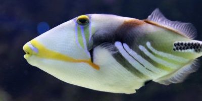 Power and Perception Power and Perception