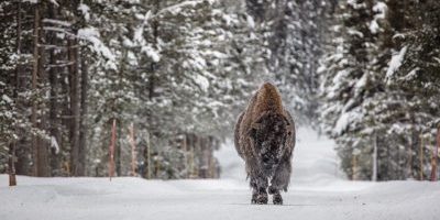 Aversity = Authenticity Aversity = Authenticity