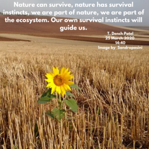 Nature can survive, nature has survival instincts, we are part of nature