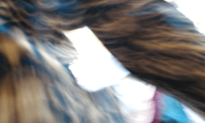 Poetry, Inspiration and Irony