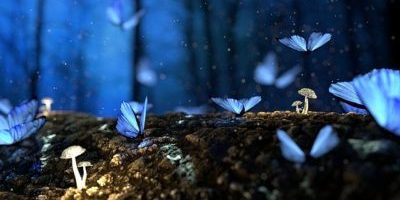 Finding your authentic self and then leaping over to the best version of yourself. Why authenticity gets you off the hook Finding your authentic self and then leaping over to the best version of yourself. Why authenticity gets you off the hook