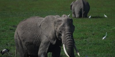 Hey friends. How are you today? What have you been doing with your family these days while you’re under lockdown? If you’ve been living alone then this article might help you in terms of appreciating your family and even what it really means to be with the person you are building your best life with. I can write this article today purely because I have lived in a codependent family as a young girl and then left to live my own life for roughly fourteen years. I have also been in a relationship where I endured domestic violence.