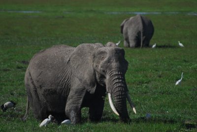 Hey friends. How are you today? What have you been doing with your family these days while you’re under lockdown? If you’ve been living alone then this article might help you in terms of appreciating your family and even what it really means to be with the person you are building your best life with. I can write this article today purely because I have lived in a codependent family as a young girl and then left to live my own life for roughly fourteen years. I have also been in a relationship where I endured domestic violence.