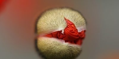 Proof that anyone’s dreams can come true no matter how down under you think you are Proof that anyone’s dreams can come true no matter how down under you think you are