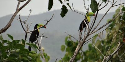 The top of the food chain; humans have minedstill mine as much as they can out of mother earth yet she still provides unconditionally to all The top of the food chain; humans have minedstill mine as much as they can out of mother earth yet she still provides unconditionally to all