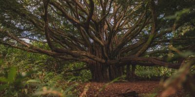 Time works for you not against you