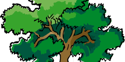 Emotional maturity Emotional maturity