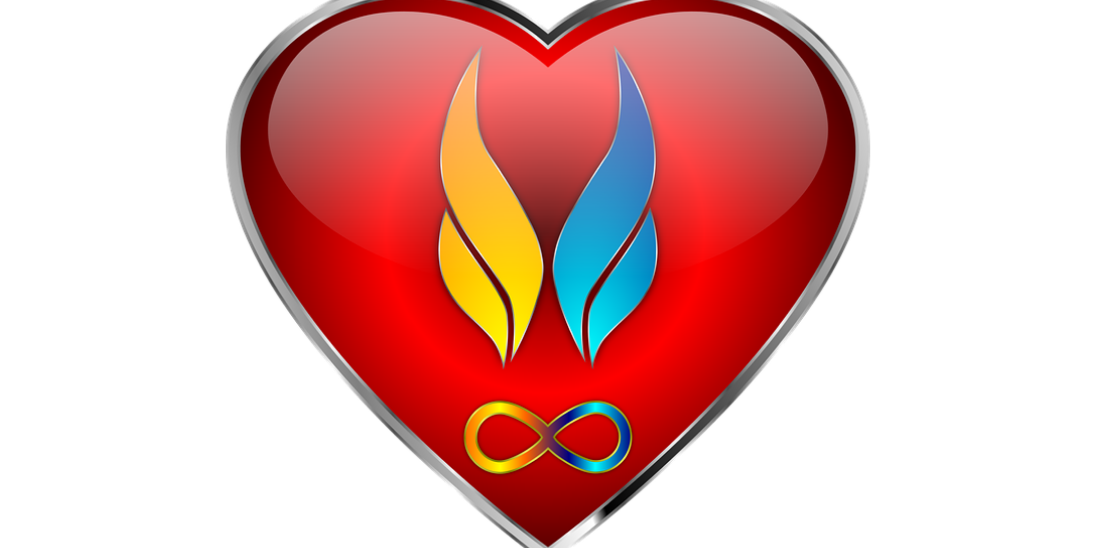 Partner not a project Partner not a project