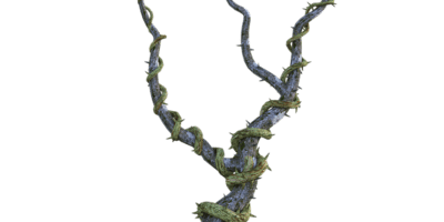 Want a new beginning Resolve and untangle the roots of the past even if it’s seriously uncomfortable Want a new beginning Resolve and untangle the roots of the past even if it’s seriously uncomfortable