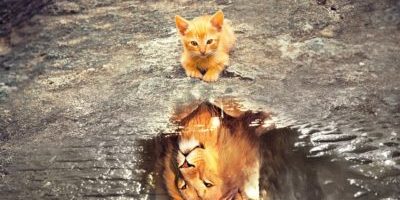 What creates the best version of yourself Would that not be the greatest version of love What creates the best version of yourself Would that not be the greatest version of love