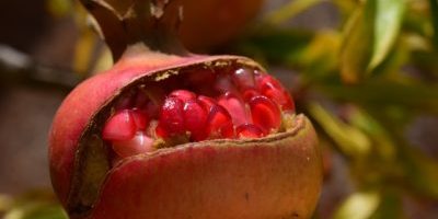 How lack/scarcity/deficiency empowers and disempowers: The magic of being open How lack/scarcity/deficiency empowers and disempowers: The magic of being open