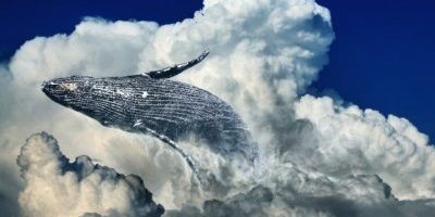 Poetry Inspiration and Irony