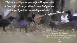 “Before you diagnose yourself with depression