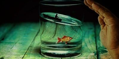 Poetry, Inspiration and Irony