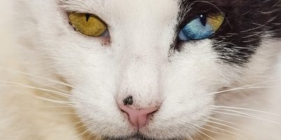 Being unapologetically you – no regrets and nothing to take back Being unapologetically you – no regrets and nothing to take back