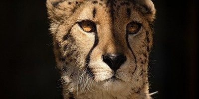 Intermittent fasting and meditation Intermittent fasting and meditation