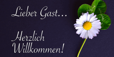 Want to be my guest blogger for linking back and getting your name out there Want to be my guest blogger for linking back and getting your name out there