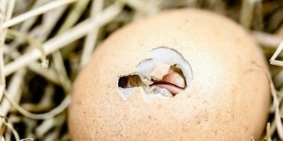 The Brutal Truth or The Hard Truth The Brutal Truth or The Hard Truth