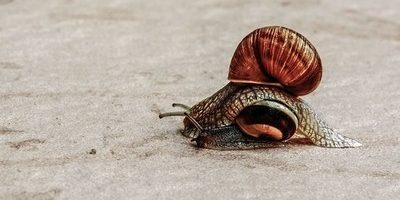 It’s often the case where the last person in the race becomes the legacy winner It’s often the case where the last person in the race becomes the legacy winner