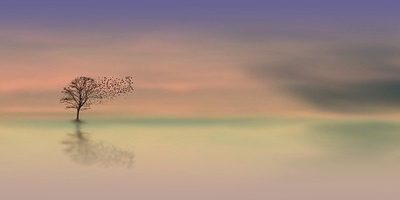 Taking out the trash Taking out the trash