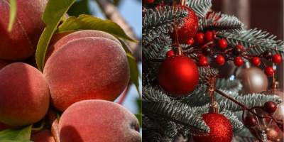 How being present is fundamental to becoming a woman or a man?