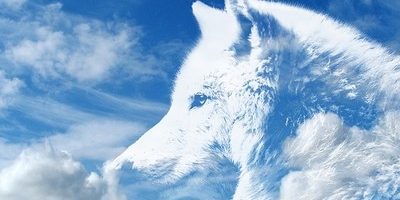 The spirit of success The spirit of success