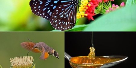 Self-made, which one is more likely to last? Ripping someone off vs settling for your worth Self-made, which one is more likely to last? Ripping someone off vs settling for your worth